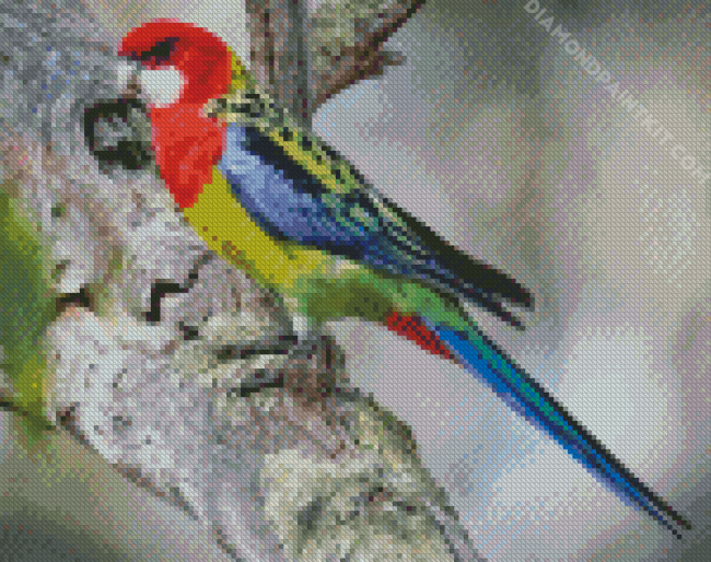 Eastern Rosella diamond painting