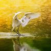 Egret Bird diamond painting