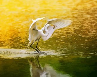 Egret Bird diamond painting