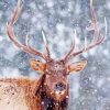 Elk In Snow Animal diamond painting