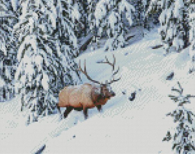 Elk In Snowy Mountains diamond painting