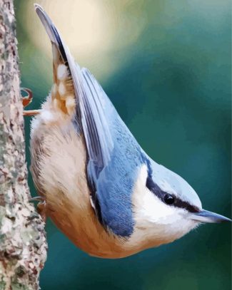 Eurasian Nuthatch Bird diamond painting