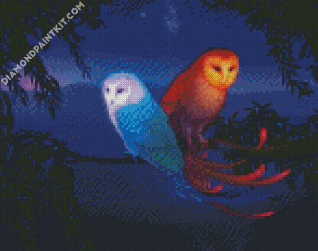 Fantasy Sun Moon Owls diamond painting