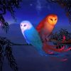 Fantasy Sun Moon Owls diamond painting