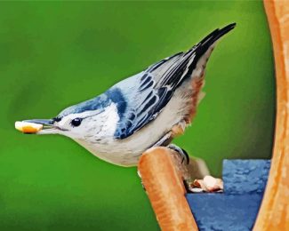 Female White Breasted Nuthatch Bird diamond painting