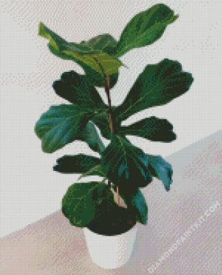 Ficus Lyrata Plant Pot diamond painting