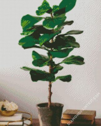 Fiddle Leaf Fig Plant Pot diamond painting