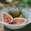 Figs Bowl diamond painting