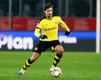 Football Player Mats Hummels diamond painting