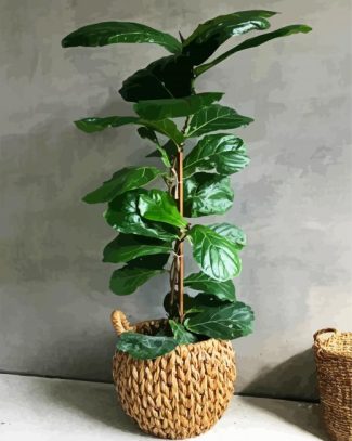 Green Fiddle Leaf Fig Plant diamond painting