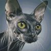 Grey Sphynx diamond painting