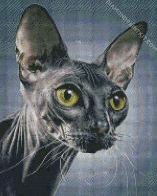 Grey Sphynx diamond painting