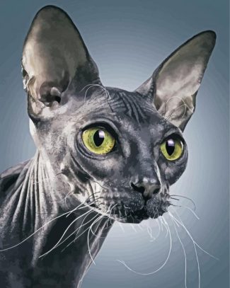 Grey Sphynx diamond painting