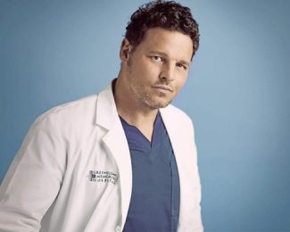 Greys Anatomy Alex Karev Adult diamond painting