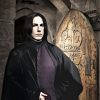 Harry Potter Severus diamond painting