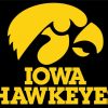 Hawkeyes diamond painting