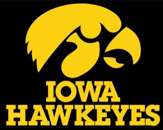 Hawkeyes diamond painting