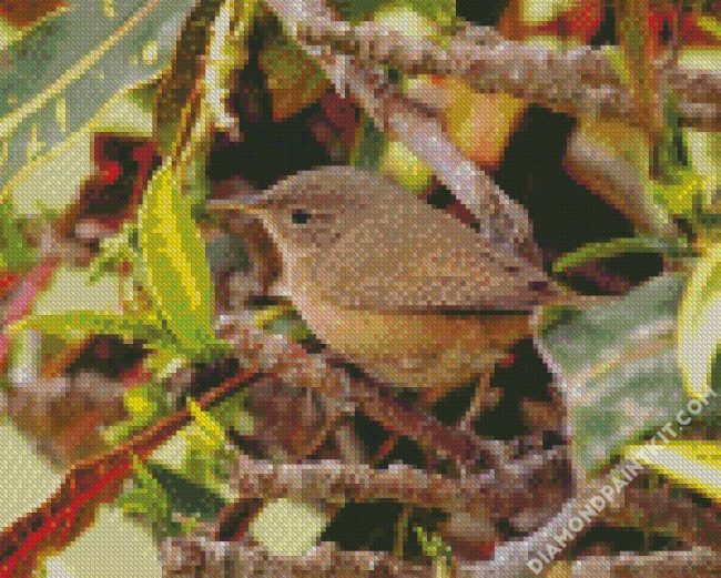 House Wren diamond painting