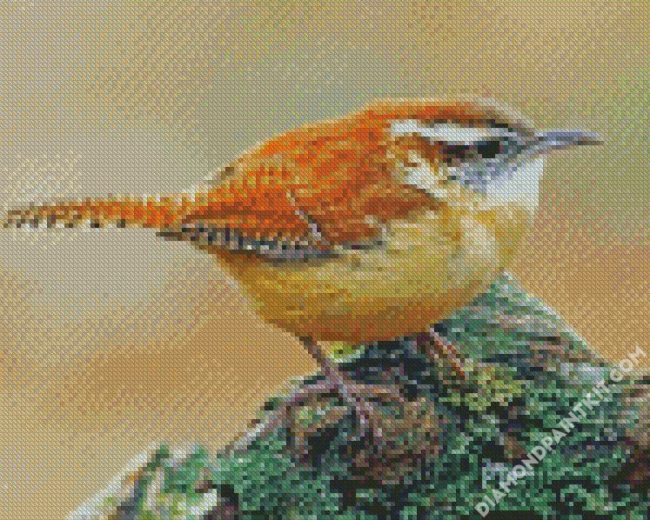 House Wren Bird Animal diamond painting