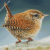 House Wren Songbird diamond painting