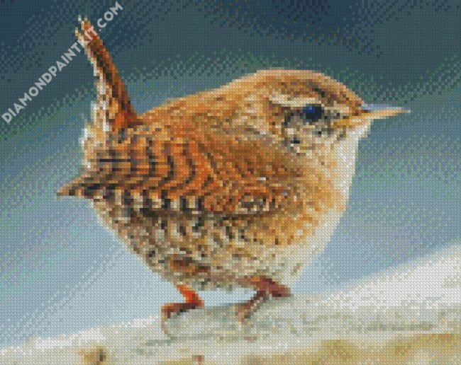 House Wren Songbird diamond painting