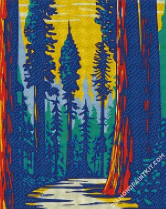 Illustration Redwoods Park diamond painting