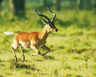 Impala Running diamond painting