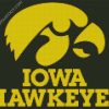 Hawkeyes diamond painting