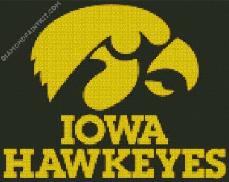 Hawkeyes diamond painting