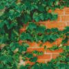 Ivy Plant diamond painting