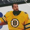 Jaroslav Halak Boston Bruins diamond painting