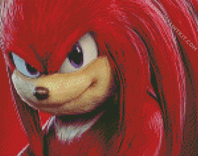 Knuckles Animes diamond painting