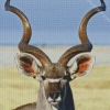 Kudu Animal close up diamond painting