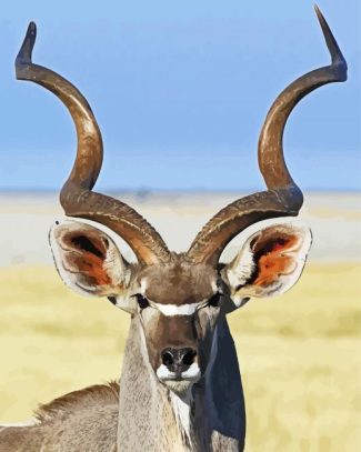 Kudu Animal close up diamond painting