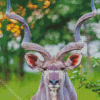 Kudu Animal diamond painting