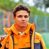 Lando Norris diamond painting