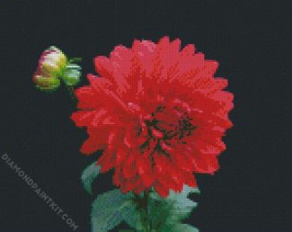 Light Red Dahlia diamond painting