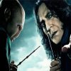 Lord Voldemort And Professor Severus diamond painting