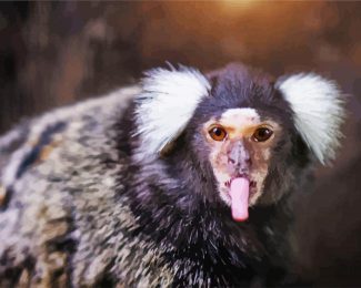 Marmoset Animal diamond painting