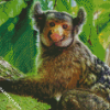 Marmoset diamond painting