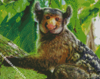 Marmoset diamond painting