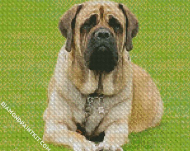 Mastiff diamond painting