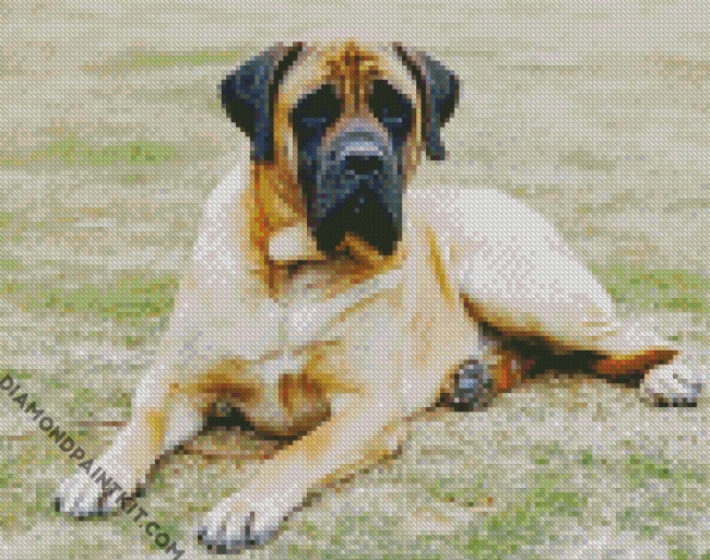 Mastiff Dog diamond painting