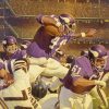 Minnesota Vikings Match diamond painting