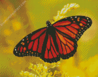 Monarch Butterfly diamond painting