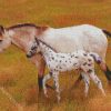 Mother And Little Appaloosa diamond painting