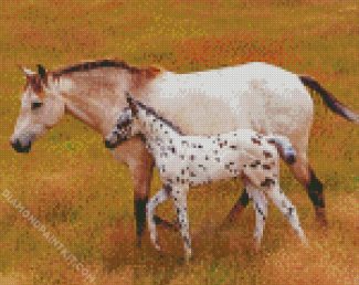 Mother And Little Appaloosa diamond painting