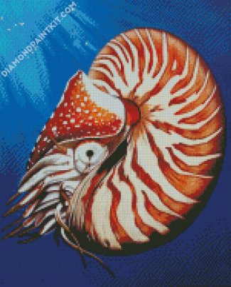 Nautilidae Shell diamond painting