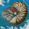 Nautilidae Marine Mollusc diamond painting