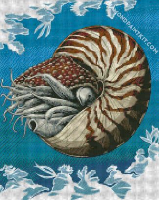 Nautilidae Marine Mollusc diamond painting